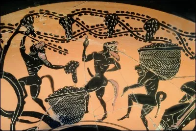 Le mot théâtre vient du grecque :