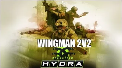 Combien de manches faut-il remporter en Wingman pour gagner ?