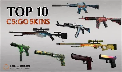 Le skin le plus cher peut être au-dessus de :