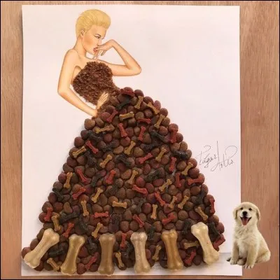 Le chien rit dans sa moustache ! Il va choisir le plus long de tous ces os !