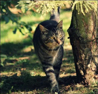 Qui est le chef du Clan, à ce moment-là ?