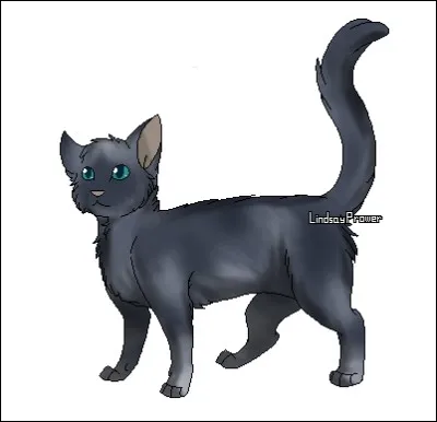 Qui a été son mentor ?