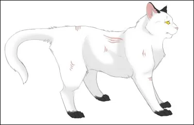 De quel chef a-t-elle été le lieutenant ?