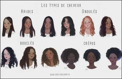 Tes cheveux sont :