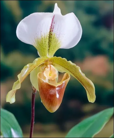 Coche la bonne case.