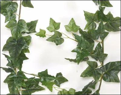 Coche la bonne case.