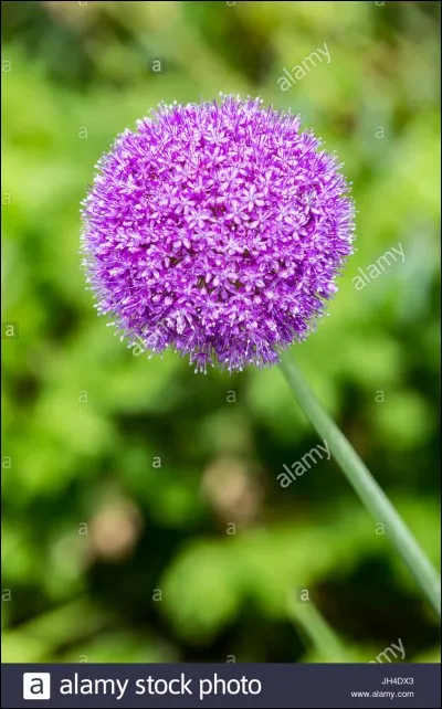 Coche la bonne case.