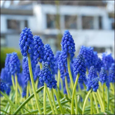 Coche la bonne case.