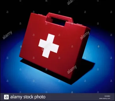 De quelle couleur est le Centre-Pokémon ?