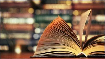 Une passion du cheval voyageur : lire. 
Il aimerait connaître l'auteur du livre "Cheval Fantôme".