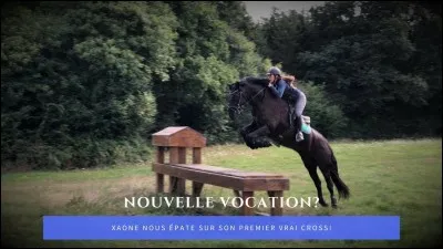 Que préfères-tu faire à cheval ? (3)