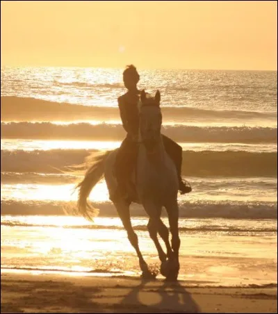 Que préfères-tu faire à cheval ? (4)
