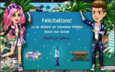 Combien y a-t-il de niveaux ?