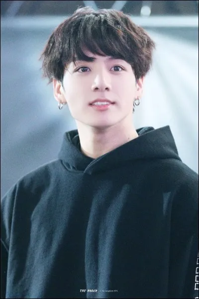 Quelle est l'une des activités préférées de Jungkook ?