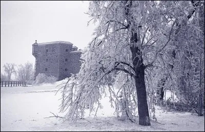 Quelle variété de quartz existe ?