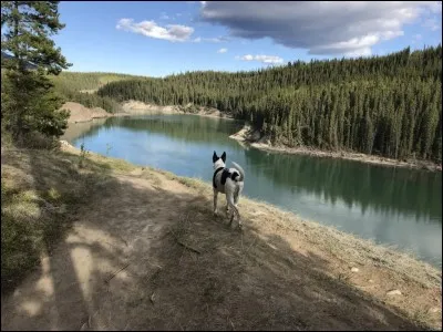Quelle ville est surnomm&eacute;e "The Wilderness City", la ville de la nature sauvage ?