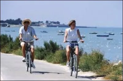 Elle nous offre 100 km de pistes avec 4 options : le chemin de l'histoire, du littoral, de la campagne et celui des marais et de la forêt.
On peut y voir un fort bâti au siège de La Rochelle en 1627, des fortifications de Vauban classées au Patrimoine mondial de l'Unesco et les ruines de l'abbaye cistercienne des Châteliers du 12e siècle.
Où peut-on longer la côte jusqu'à la presqu'île de Loix ?