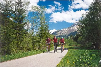 Ancienne voie romaine traversant les Alpes du nord au sud. La difficile aventure débute en Bavière, avant de se terminer 700 km plus loin, près de Venise. 
Nommez cet itinéraire qui, non seulement vous offre de beaux paysages alpins, mais aussi vous permet de visiter des sites archéologiques et des vestiges sur l'histoire de cette route plus de deux fois millénaire :