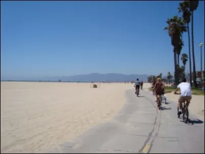 Comme vous voyez, on a d'un côté, une vaste plage donnant sur le Pacifique, de l'autre, entre les palmiers, des cafés et des petits commerçants : 4,5 km de pur plaisir. On y loue également des tandems et des vélos avec sièges pour enfants.
Quelle est cette route où l'on trouve la jetée étant l'une des attractions les plus importantes de la région de Los Angeles ?