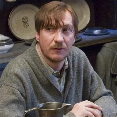 Quelle est la particularité de Remus Lupin ?