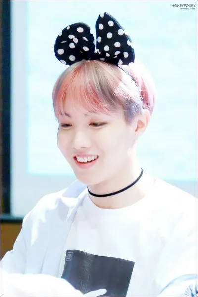 Combien de surs J-Hope a-t-il ?