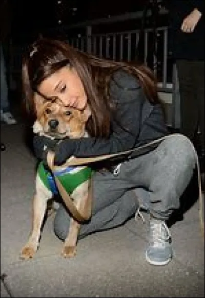 Ariana a combien de chiens ?