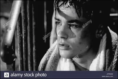 Quel est le bon titre ?