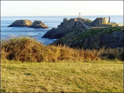 De quelle couleur est l'oiseau figurant sur le logo officiel du réseau social "Twitter" ?