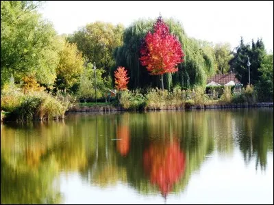 Quel oiseau est connu pour être le plus petit au monde et pour pouvoir voler sur place ou à reculons grâce à ses battements d'aile extrêmement rapides ?