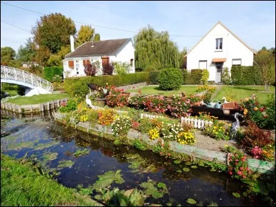 Dans un restaurant belge, que vous servira-t-on si vous commandez un oiseau sans tête ?