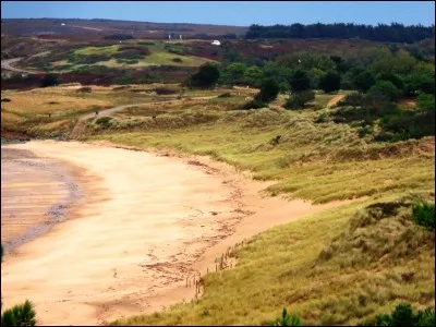 À qui doit-on le conte "Le vilain petit Canard" ?