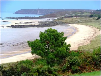 À quel oiseau le film documentaire "La Marche de l'Empereur" est-il consacré ?
