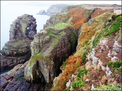 Dans la fable de La Fontaine "Le Corbeau et le Renard", que désigne le "ramage" du corbeau que vante le renard ?