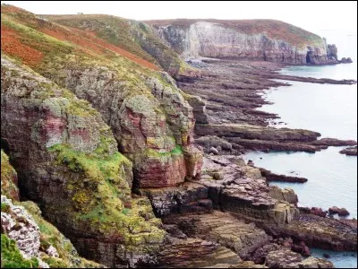 Dans les albums de Tintin, quel surnom est donné à la Castafiore ?