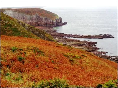Quel rapace donne son nom à un jeu sportif dont le but est de courir d'une ligne à l'autre sans se faire attraper par un "chasseur" ?