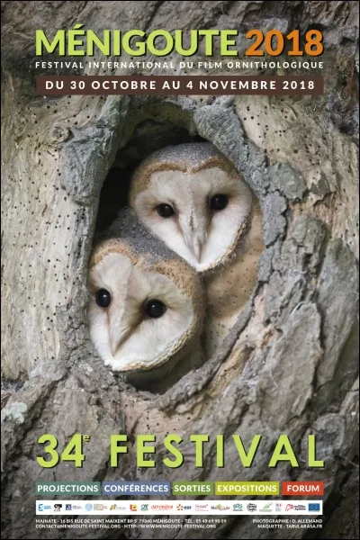 La marmotte hiberne pendant :