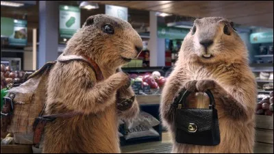 Quelle est l'activité secrète de la marmotte dans une célèbre publicité ?