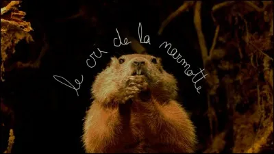 Quel est le cri de la marmotte ?