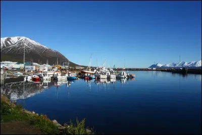 Si vous vous trouvez à Dalvík, dans quelle région êtes-vous ?
