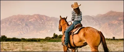 L'époque durant laquelle se déroule l'histoire est fondamentale. Mais inutile de vous demander à quel siècle, vous l'avez déjà deviné grâce à l'image.