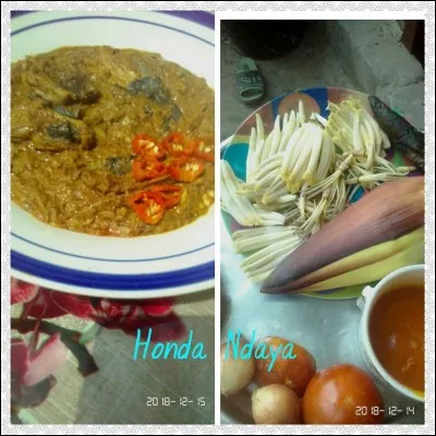 De quel arbre est issu le produit nommé "enzonzo" ?