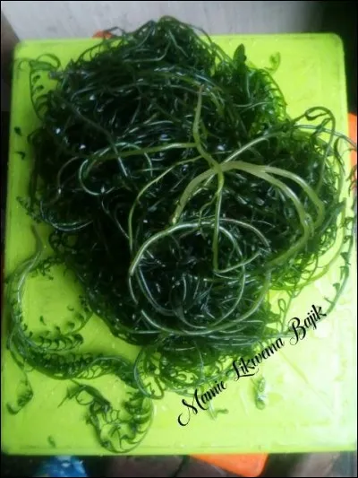 De quelle catégorie de végétaux le "nzawula" fait-il partie ?