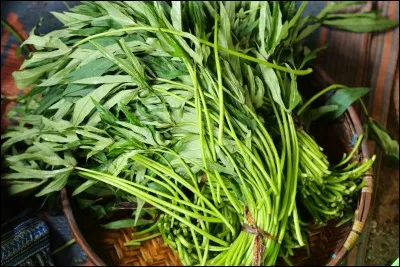 De quel tubercule comestible les "matembele" sont-ils les feuilles ?