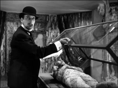 Dans quel film peut-on le voir ainsi ?