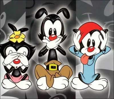 (Les Animaniacs) Comment s'appellent ces trois personnages ?