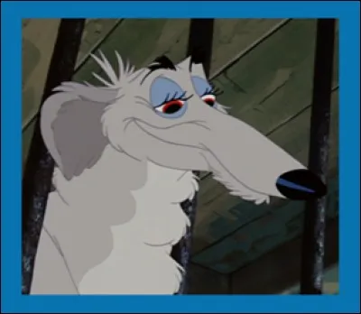 Boris est un lévrier russe ou barzoï, un des chiens de la fourrière dans laquelle Lady est conduite quelques instants dans :