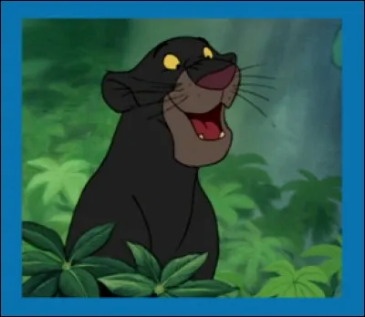 Bagheera est une panthère noire mâle qui découvre Mowgli bébé dans :