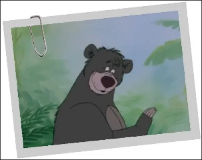 Le credo de Baloo gris est "il en faut peu pour être heureux" et "il faut se satisfaire du nécessaire". On le voit déambuler dans :