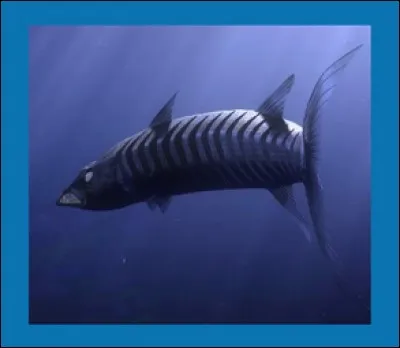 Le Barracuda est le premier méchant du film :