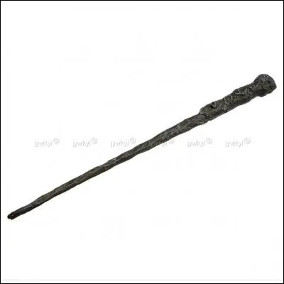 Qu'y a-t-il dans la baguette magique de Harry Potter ?